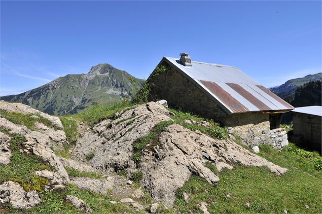 Chalet à Ardens et Mont de Grange - Patrick Brault
