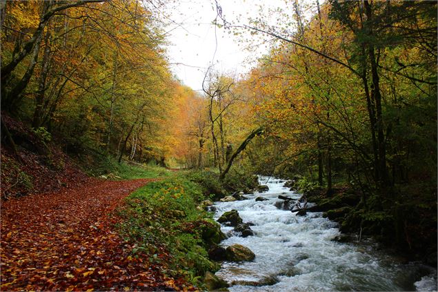 Le ruisseau de Forens - ©jthevenard