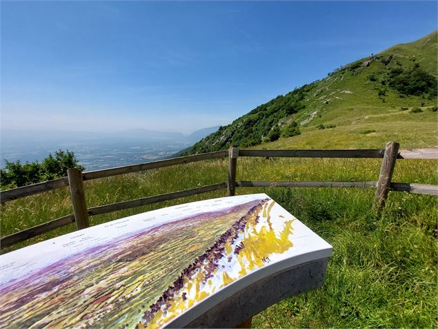 Table d'orientation - ©Cyrille Pillet