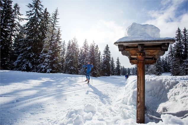 Le paradis du ski nordique (skating ou alternatif) - Thuria