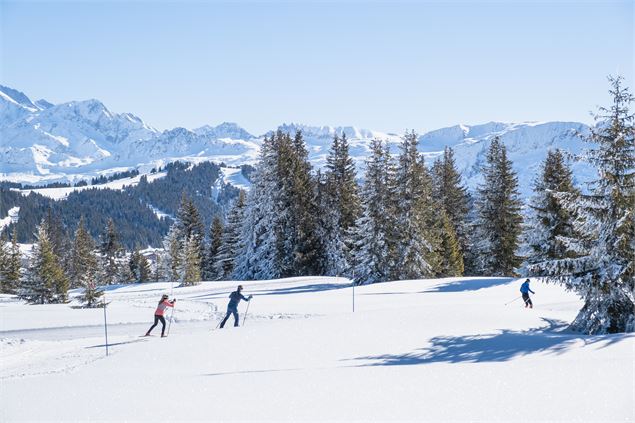 Le domaine nordique des Saisies entre clairières et forêt - Thuria