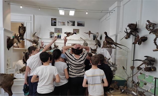 Musée Lac & Nature groupes - L. Brevard