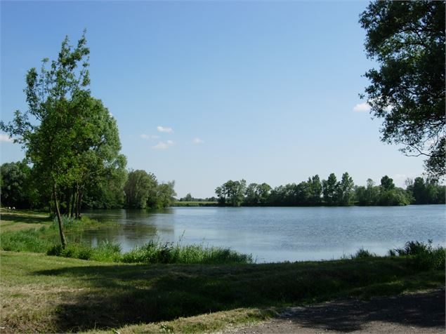 Pêche - Office de tourisme du Pays de Bâgé et de Pont-de-Vaux