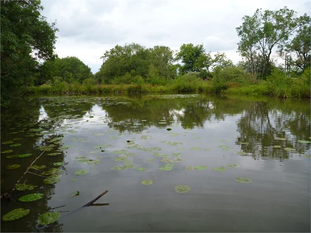 Veille Seille, Sermoyer