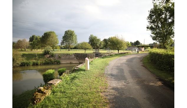 Le long de la Seille à la Truchère
