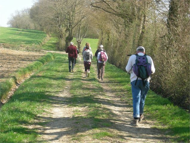 Randonnée pédestre - A. Descottes