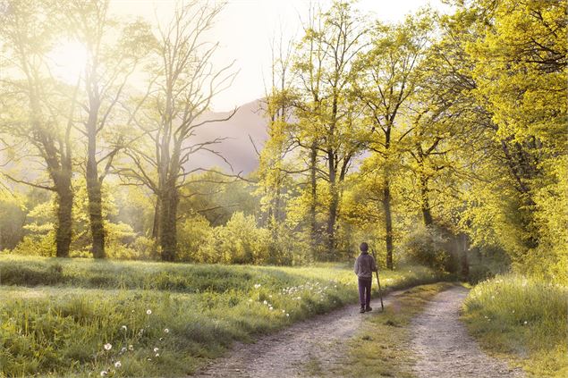 Randonnée pédestre à la campagne - Office de Tourisme Pays de Bâgé et de Pont-de-Vaux