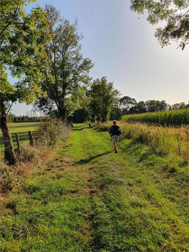 Direction la Reyssouze - Karin Dirx