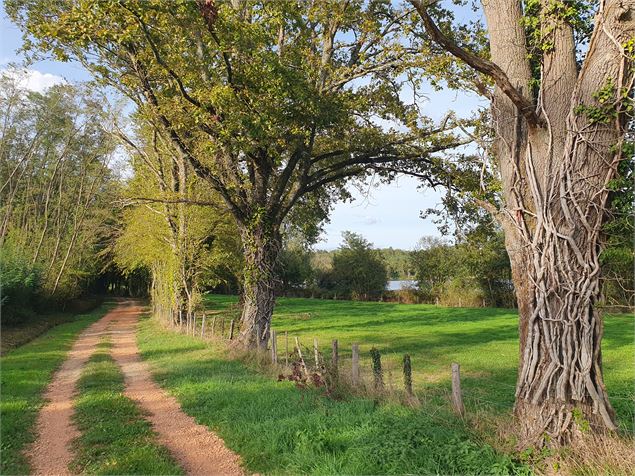 Chemin de l'étang Neuf - Karin Dirx