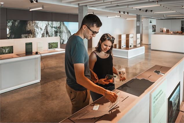 Exposition permanente au téléphérique - STS - Agence Hemelka