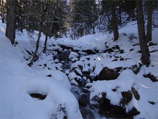 Itinéraire raquette - Le sentier des Paquiers (2)
