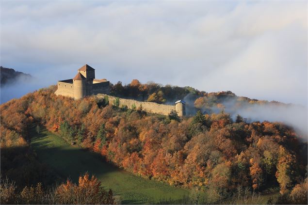 château des Allymes vu du ciel - David Pothin