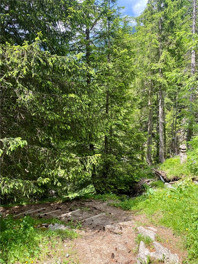 Sentier de randonnée pour accéder à une cache - OT Flaine - G. Magre