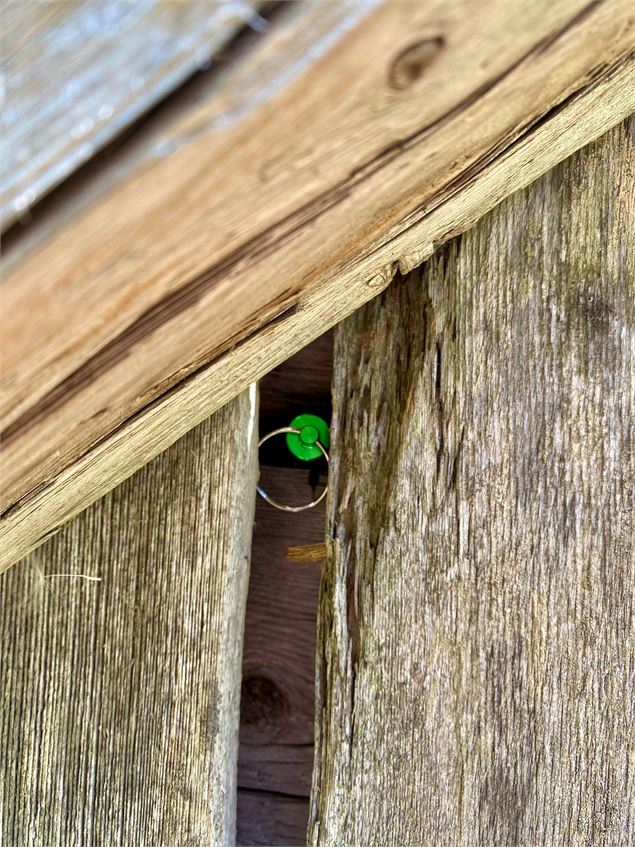 Cache entre 2 anneaux de bois - OT Flaine - G. Magre