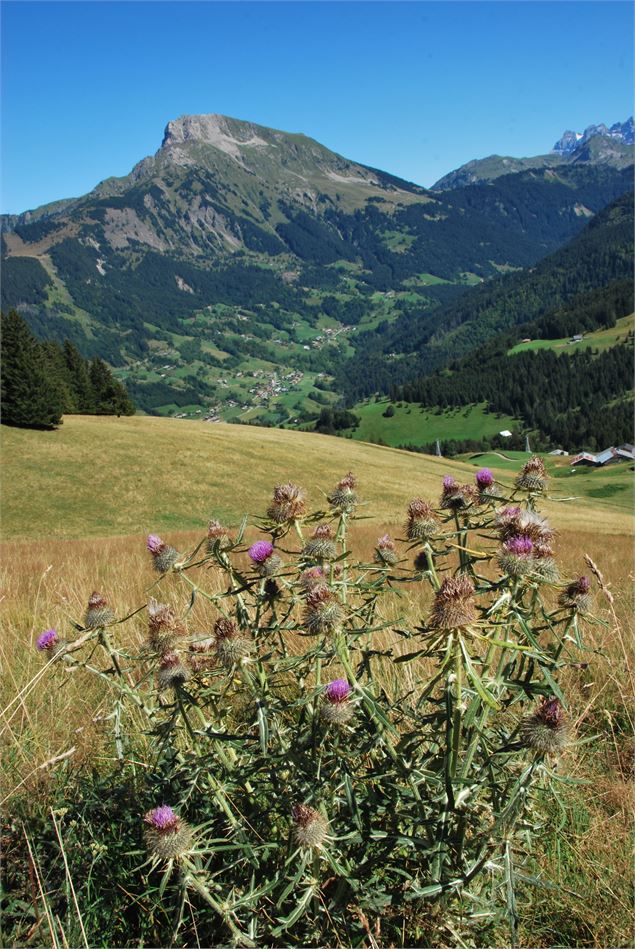 Randonnée Pointe des Follys - Patrick Brault