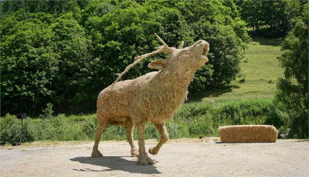 Balade de Valloire aux Verneys - Itinéraire de randonnée pédestre - Alice Niquet