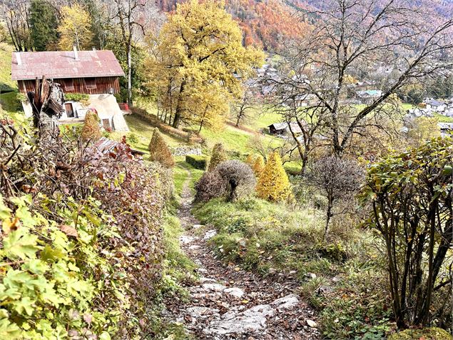 Itinéraire pédestre : Découverte du village de Samoëns par les Moulins et les Plaignes_Samoëns - Léo
