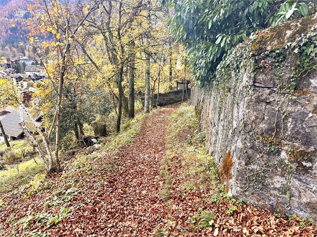 Itinéraire pédestre : Découverte du village de Samoëns par les Moulins et les Plaignes_Samoëns - Léo