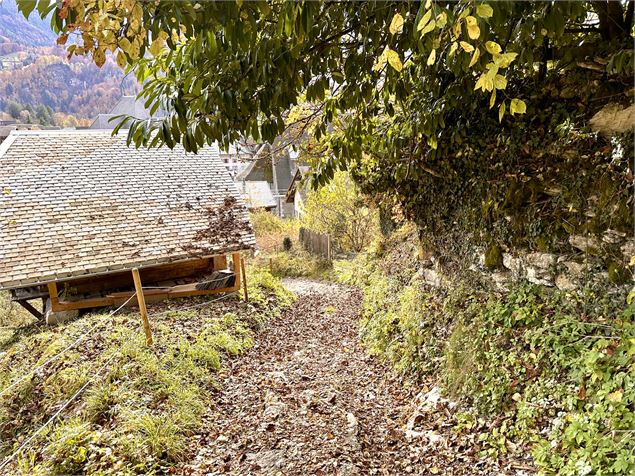 Itinéraire pédestre : Découverte du village de Samoëns par les Moulins et les Plaignes_Samoëns - Léo