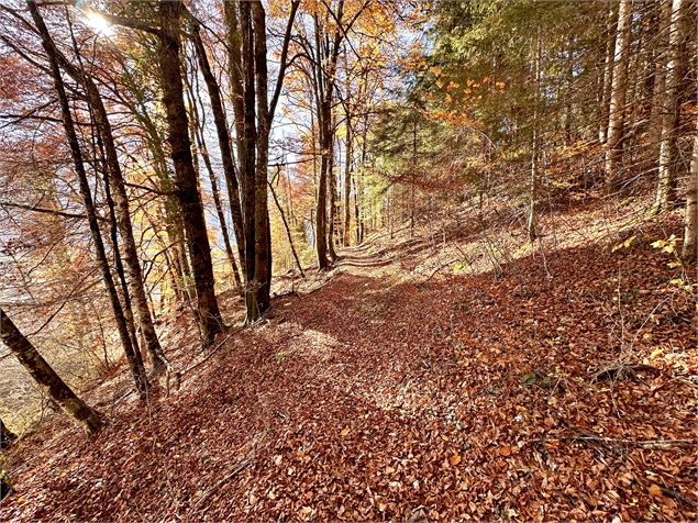 Itinéraire pédestre : Découverte du village de Samoëns par les Moulins et les Pleignes_Samoëns - Léo