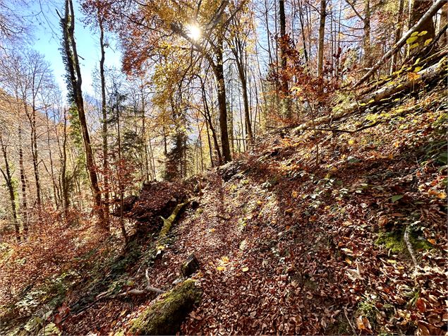 Itinéraire pédestre : Découverte du village de Samoëns par les Moulins et les Pleignes_Samoëns - Léo