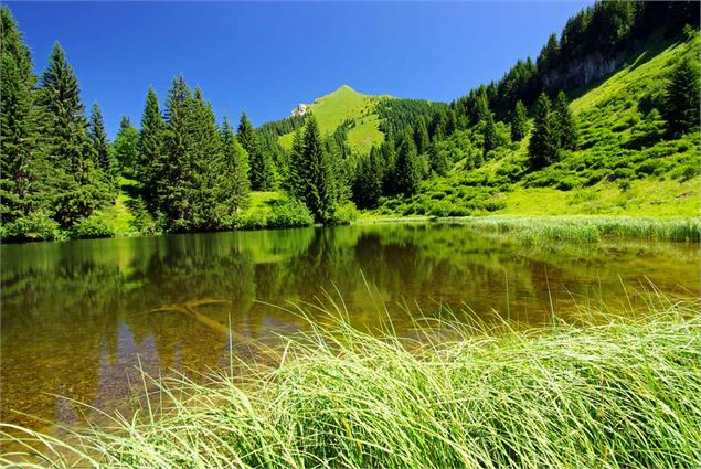 Le lac de Damoz des Moulins au printemps - Yvan Tisseyre / OT Vallée d'Aulps