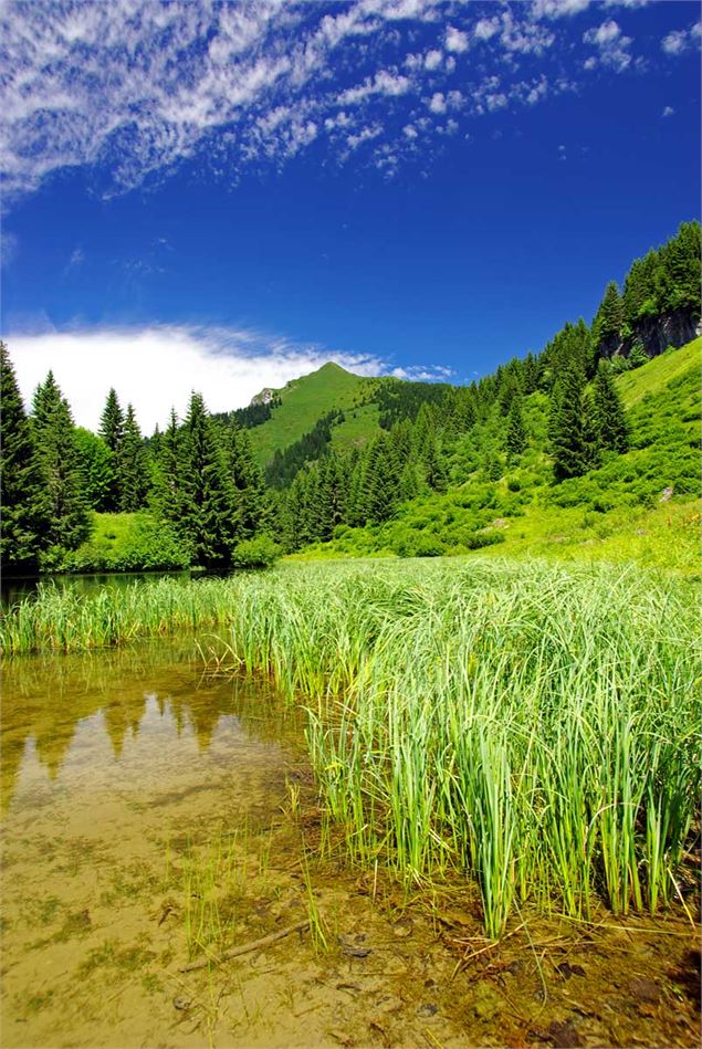 Le Lac de Damoz des Moulins au printemps - Yvan Tisseyre / OT Vallée d'Aulps