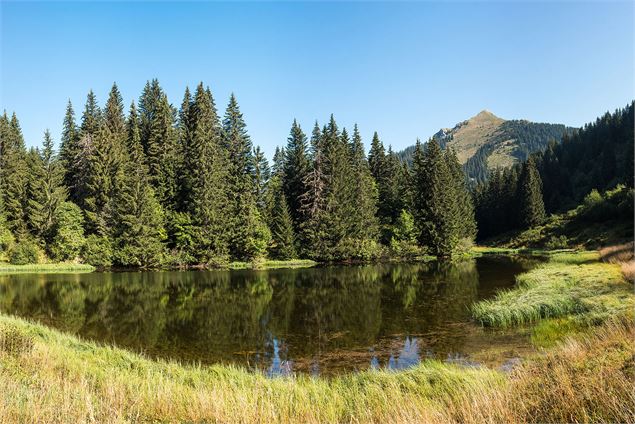 Lac de Damoz des Moulins - Yvan Tisseyre / OT Vallée d'Aulps