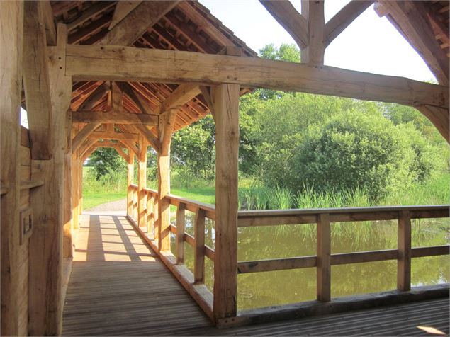 Observatoire - Claire CURT