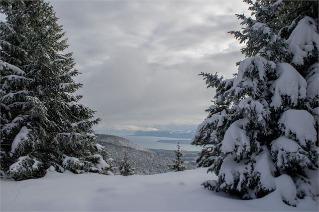 Belvédère du Turet - ©Nicodème Peillon / Pays de Gex Agglo