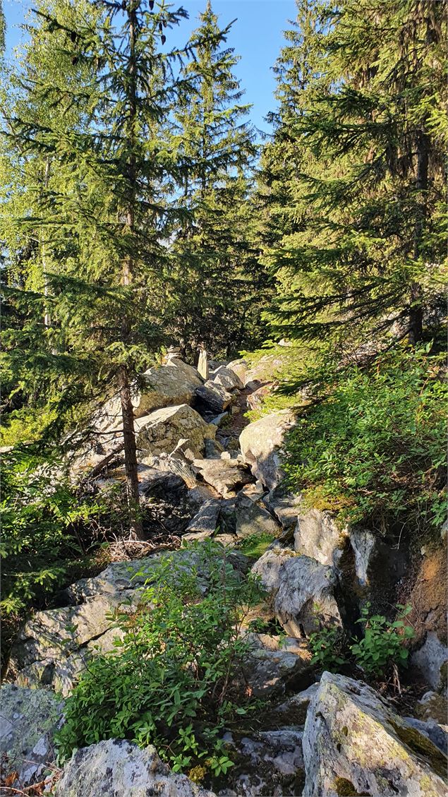 Photo de rochers et d'arbres - Commission sentiers de la mairie de Valmeinier