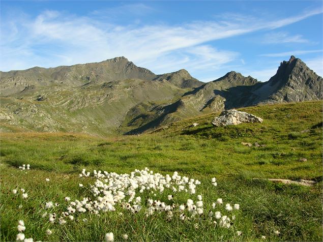 Tour du Thabor - Etape 4 - Des Granges de la Vallée Etroite au Refuge des Drayères - K.Mandray