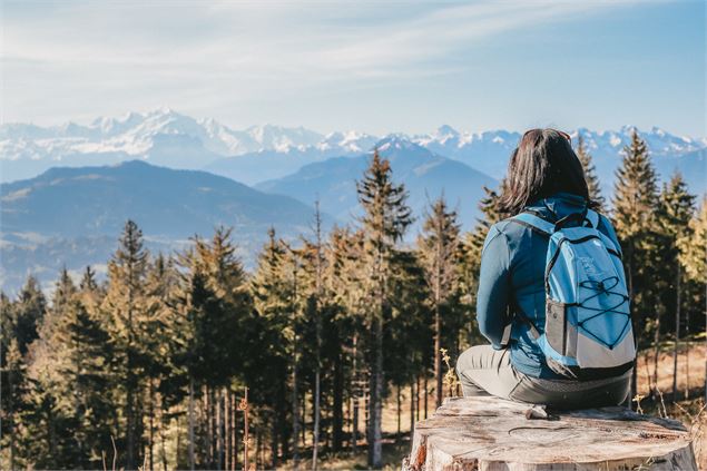 Vue sur le Mont-Blanc - OT_Monts_du_Genevois_-_A.Modylevskaia