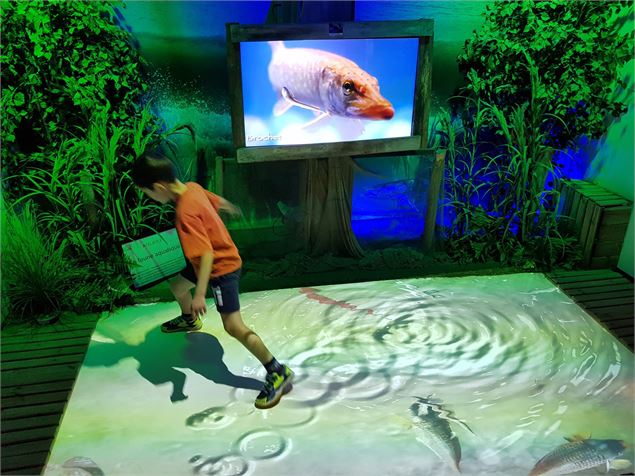 la mare virtuelle - Maison de l'eau et de la nature