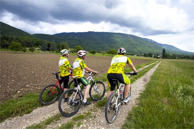 VTT sur la Voie du Tram - ©Marie Jacques