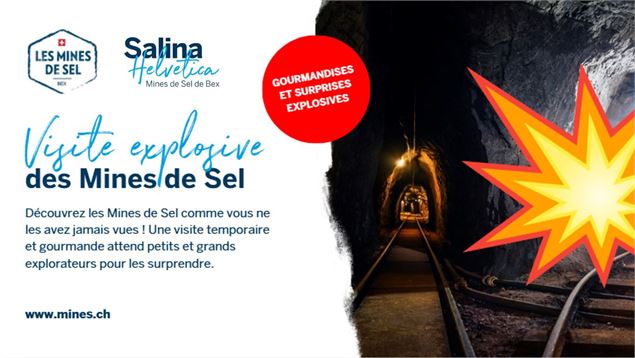 Mines de Sel de Bex_Bex - Salines Suisses SA / Mines de Sel de Bex