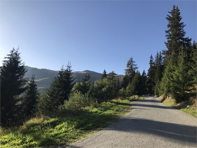 Les Hauts de Verbier