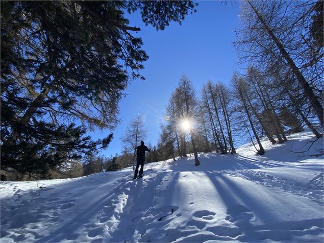 La Tzoumaz - Savoleyres (N°3)