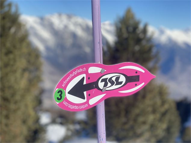 La Tzoumaz - Savoleyres (N°3)