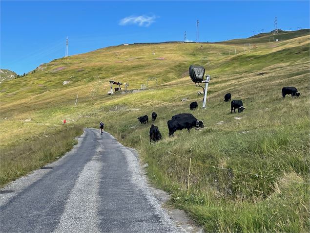 Col de la Croix de Cœur - Col du Lein