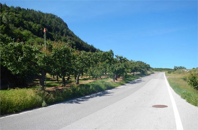Col du Lein - Col des Planches