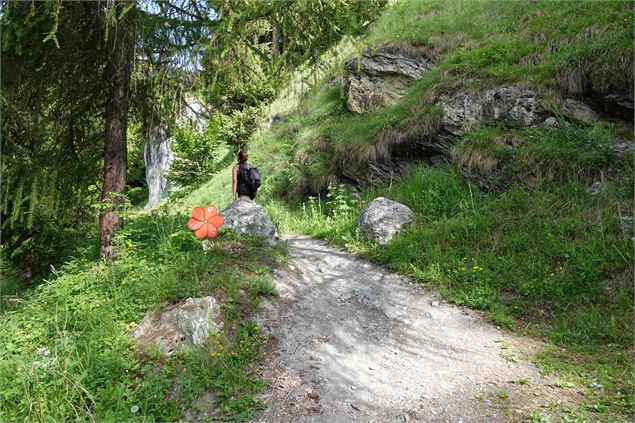 Pierre Avoi via Le Château - Verbier Promotion