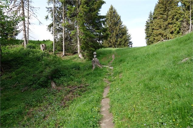 Pierre Avoi via Le Château - Verbier Promotion