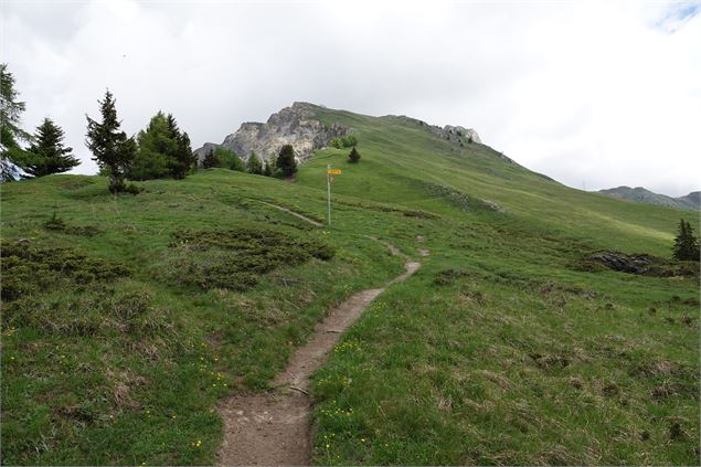 Pierre Avoi via Le Château - Verbier Promotion