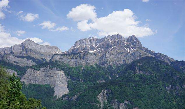 Chalets de Doran : les ailes du gypaète