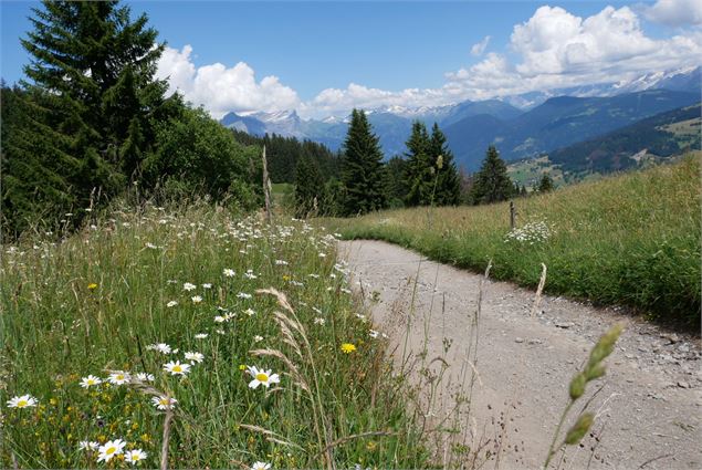 La croix de Salles, Demi-Quartier