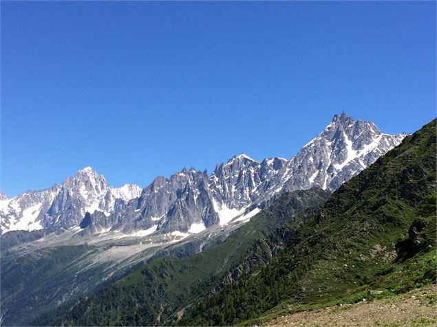 Vue sur les aiguilles de Chamonix depuis le mont Lachat