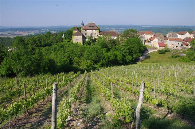 vue depuis les vignes - La Tour d'Oncin