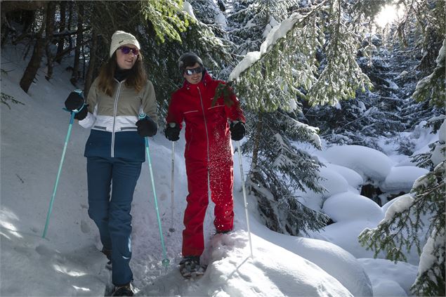 Balade en raquette - JNJ Photo