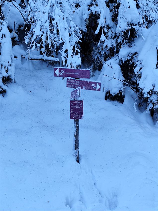 Panneau raquette indiquant la direction de la boucle de Cornillon, des Plaines et de l'Avenaz au car